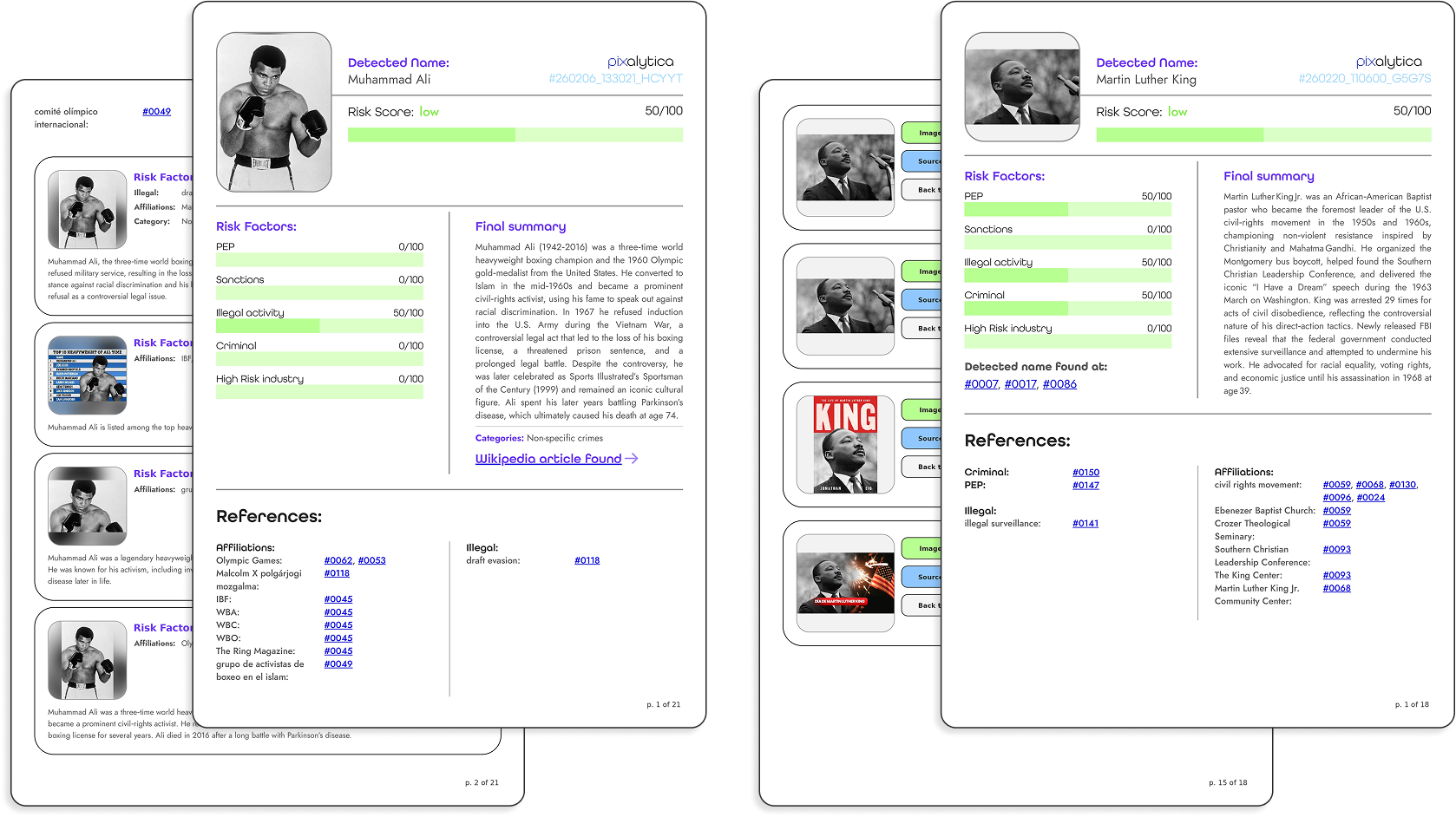 Example of Pixalytica's results
